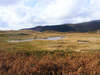 Sinery Tarn